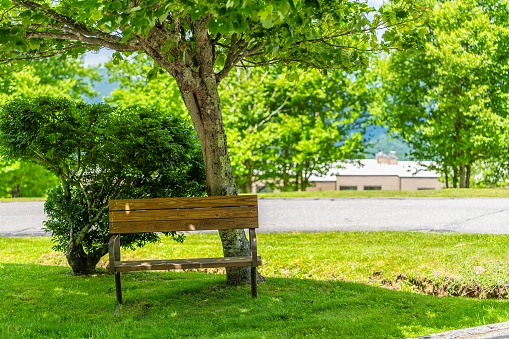 Sugar Mountain ski resort town park with idyllic bench under tree and view of beautiful green mountains in summer in North Carolina with apartment buildings in Blue Ridge Appalachia