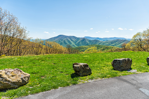 Blue ridge parkway Wintergreen resort town mountains in spring springtime sunny day with yellow dandelion wildflowers at Blackrock Drive overlook and green grass field