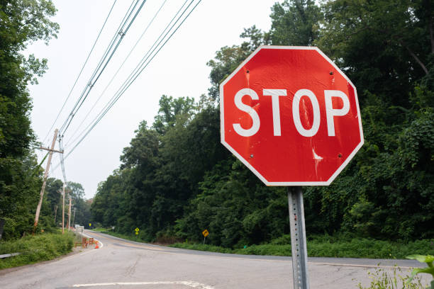 istock Rural Stop Sign in Cold Spring New York along an Empty Road with Green Trees 1356243491