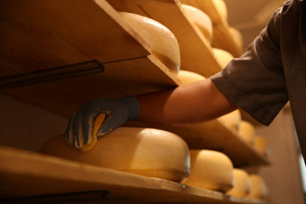 istock Worker coating cheese with wax in factory warehouse, closeup 1356244149