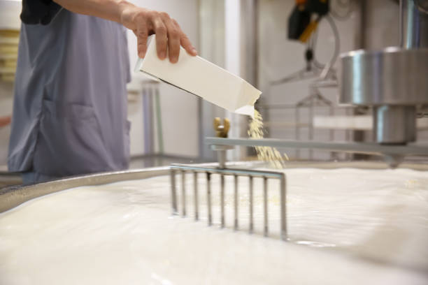 Worker adding culture to milk in curd preparation tank at cheese factory, closeup Worker adding culture to milk in curd preparation tank at cheese factory, closeup mixing vat stock pictures, royalty-free photos & images