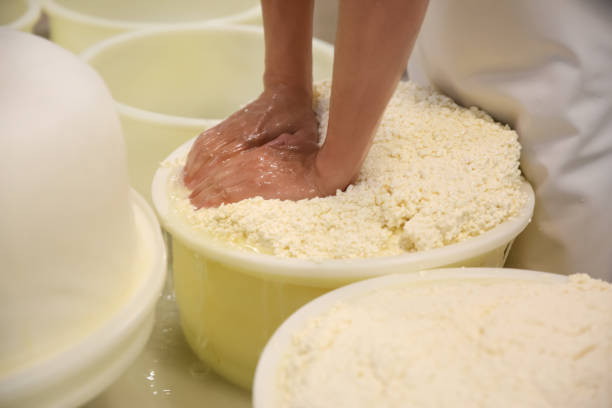 istock Worker pressing curd into mould at cheese factory, closeup 1356245253