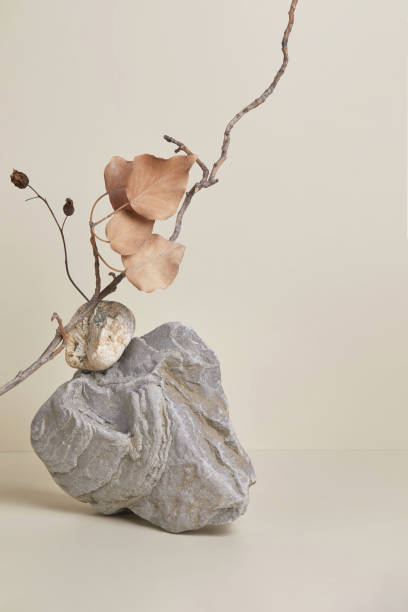 istock nature scene with composition of stone and dry branches 1356245390