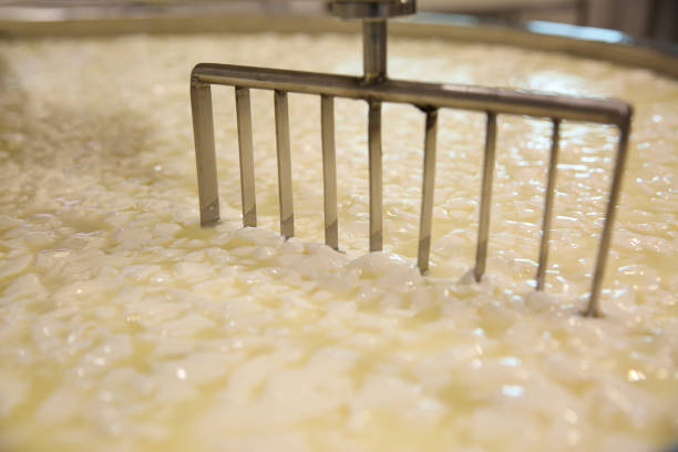 Curd and whey in tank at cheese factory, closeup Curd and whey in tank at cheese factory, closeup mixing vat stock pictures, royalty-free photos & images