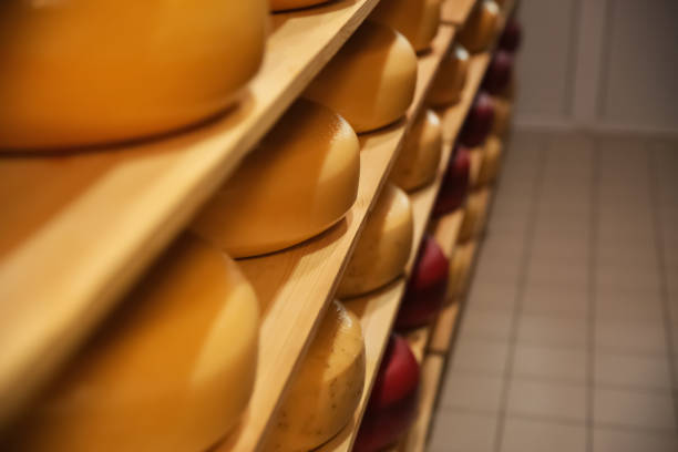 istock Fresh cheese heads on rack in factory warehouse. Space for text 1356246397
