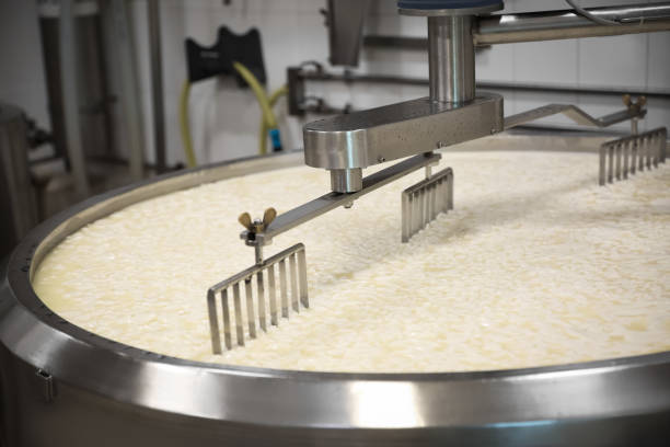 Curd and whey in tank at cheese factory Curd and whey in tank at cheese factory mixing vat stock pictures, royalty-free photos & images