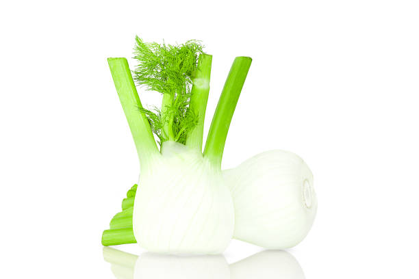 istock Two fennel isolated on the white background. 1356246573