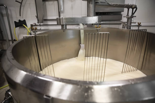 Pouring milk into curd preparation tank at cheese factory Pouring milk into curd preparation tank at cheese factory mixing vat stock pictures, royalty-free photos & images