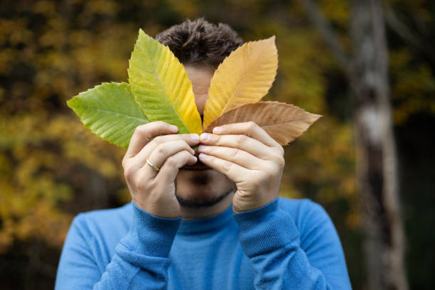 istock Man holding green, yellow and brown leaves 1356247914