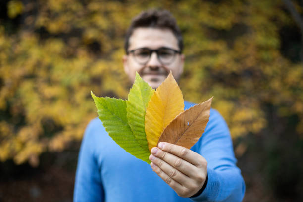 Man holding green, yellow and brown leaves