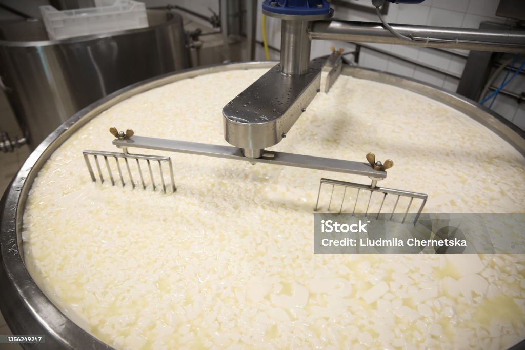 Curd and whey in tank at cheese factory Industry Stock Photo