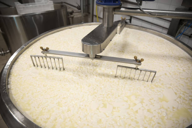 Curd and whey in tank at cheese factory Curd and whey in tank at cheese factory mixing vat stock pictures, royalty-free photos & images