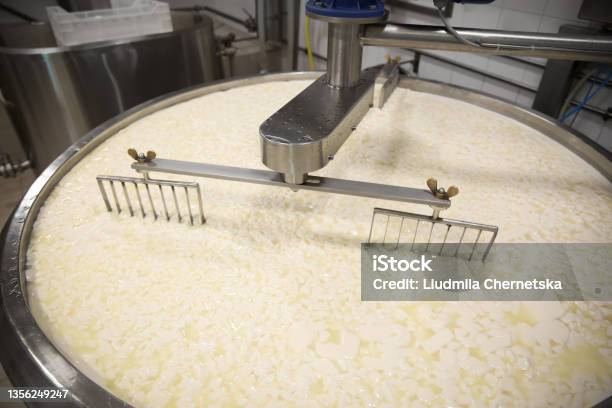 Curd And Whey In Tank At Cheese Factory Stock Photo - Download Image Now - Industry, Whey, Curd Cheese