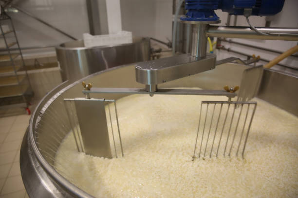 Adding water to curd and whey in tank at cheese factory Adding water to curd and whey in tank at cheese factory mixing vat stock pictures, royalty-free photos & images