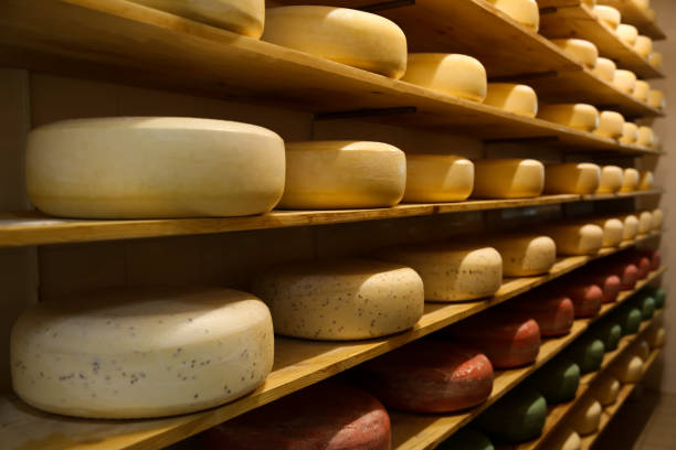 istock Fresh cheese heads on rack in factory warehouse 1356250787