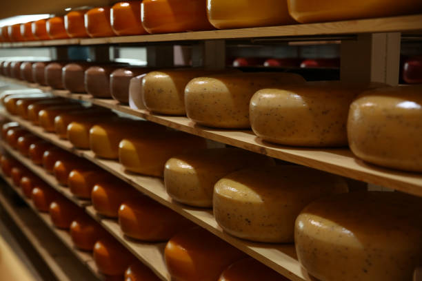 istock Fresh cheese heads on rack in factory warehouse 1356250788