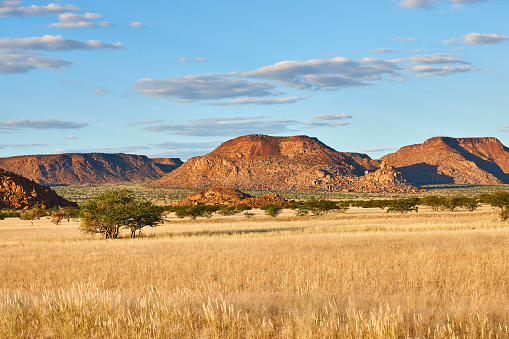 Landscape in Damaraland, Namibia, with beautiful brown rocks and savannah with acacia trees.