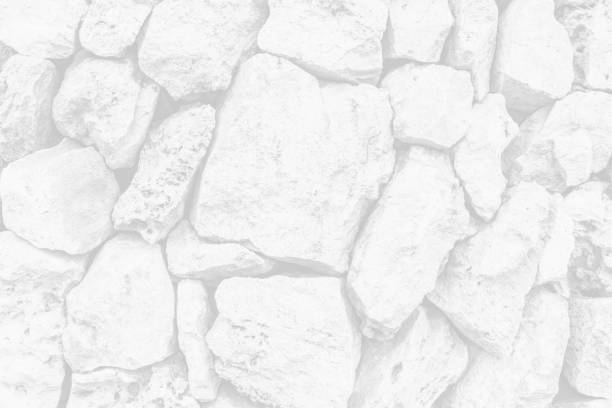 istock rock concrete abstract stone white wall background 1356256808