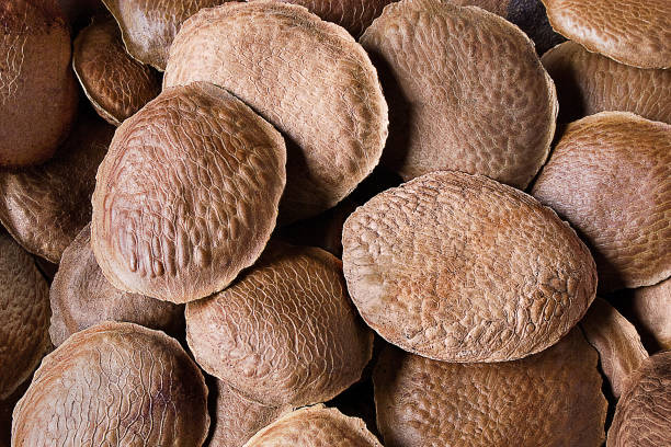 istock Brazilian Seeds Sucupira 1356257700