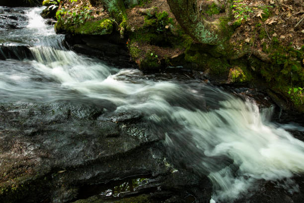 istock Pixie Falls along the Nipmuck Trail in Ashford, Connecticut. 1356258802
