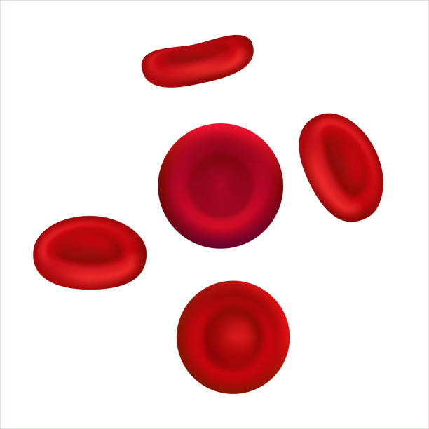 illustrations, cliparts, dessins animés et icônes de illustration vectorielle de globules rouges ou d’érythrocytes - blood cell illustrations