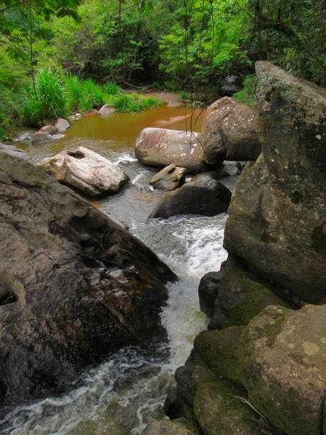 istock fast-moving stream funneling through the rocky passage to empty into a tranquil backwater. 1356259793