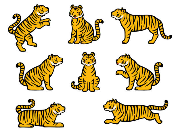 illustrations, cliparts, dessins animés et icônes de ensemble d’illustrations du corps entier du tigre jaune dessiné à la main - seated tiger