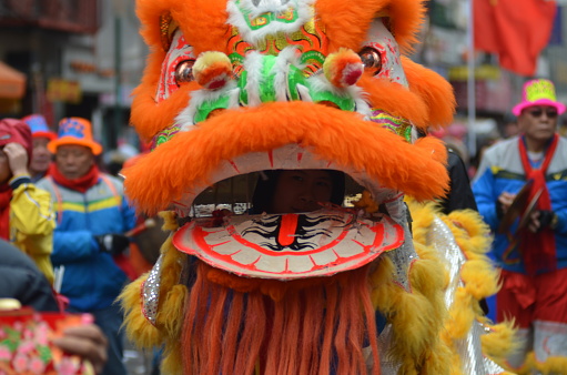 A participants is dressed as a dragon during the annual Lunar New Year in Manhattan's Chinatown.