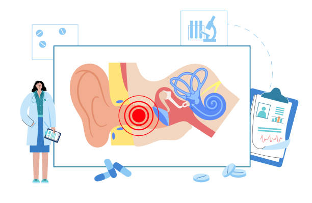 중이염 엑스테르나 트리트먼트 - eustachian tube stock illustrations