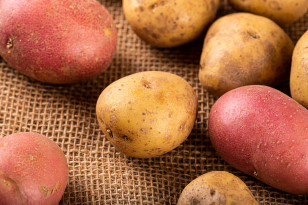 istock Raw whole washed organic potatoes 1356272337