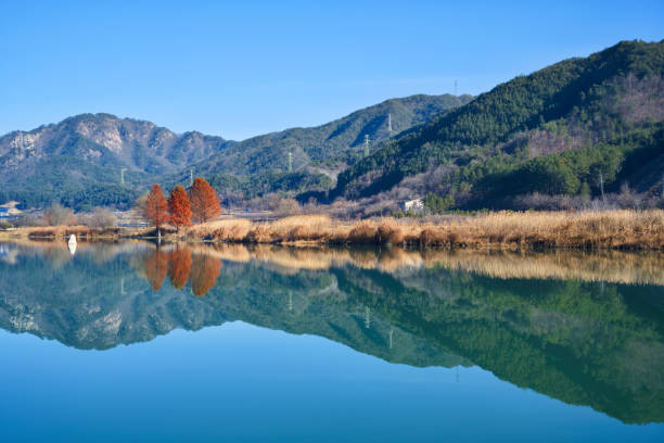 istock Late fall at Jucheon Ecological Park 1356282602