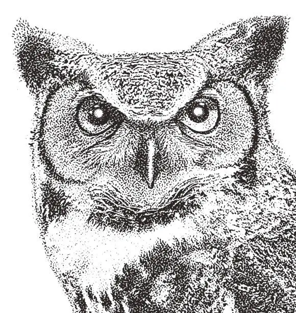 Vector illustration of Great horned owl face