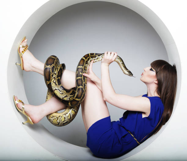Women Vs Python 620+ Snake Women Fashion Model Python Stock Photos, Pictures & Royalty ...