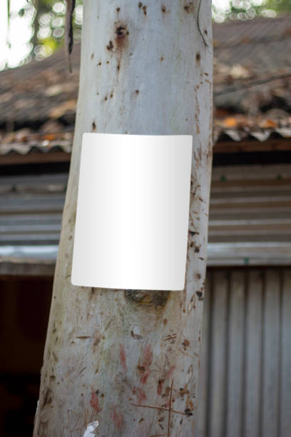 istock A small white sign boards hanging with an old big tree and the background blur behind it. 1356289041