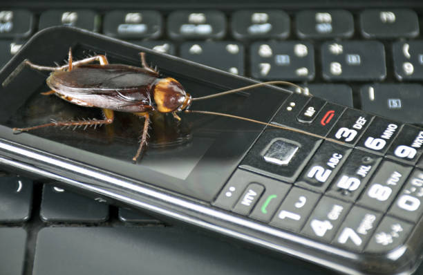 istock Cockroach on black smartphone and keyboard laptop or notebook computer  background close up top view. 1356291243