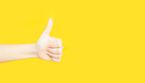 istock woman's hand with thumbs up gesture  in copy space area for advertisement promotion or text on a yellow background 1356294511