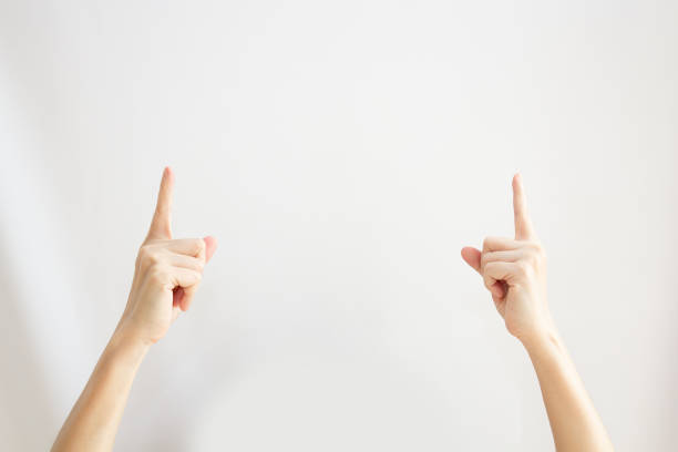 Two Woman's hand are pointing or indicating to copy space area for communication and advertisement and promotion and text on white background