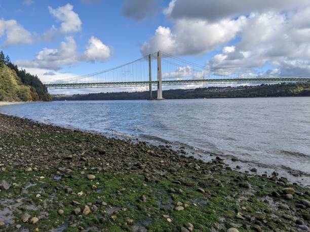 istock Narrows bridge from the beach 1356298176