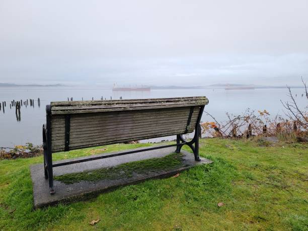 istock Bench on a Fog Filled Columbia River 1356303501