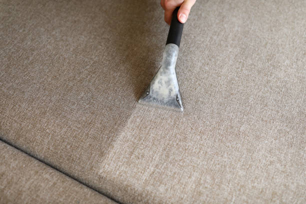 istock Male housekeeper hand cleaning sofa with washing suction 1356305251