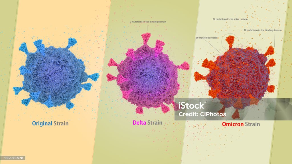 COVID-19 vírus SARS-COV-2 cepa original, comparação da cepa DELTA e OMICRON, covid-19 B.1.1.529 omicron - Foto de stock de Variante Ômicron do SARS-Cov-2 royalty-free