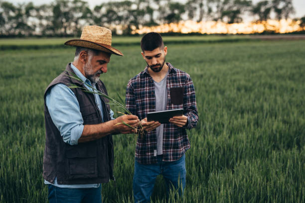 istock farmers on field 1356310333