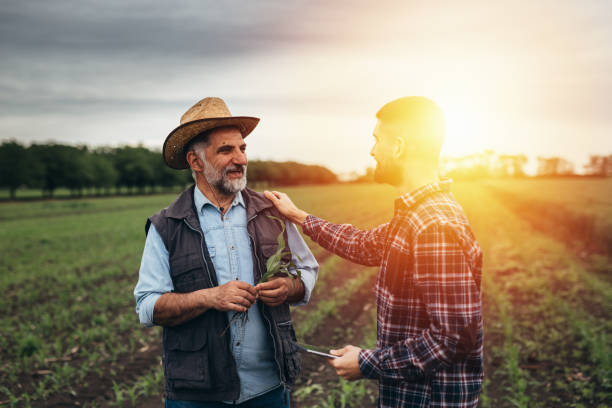 istock farmers on field 1356310334