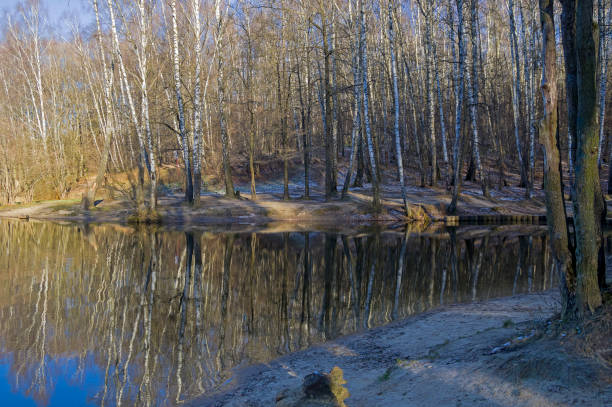 istock Pond at late autumn. 1356311239
