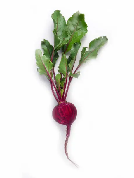 Single beetroot with a green tail, cut in half on a white background. Minimal card. interior poster