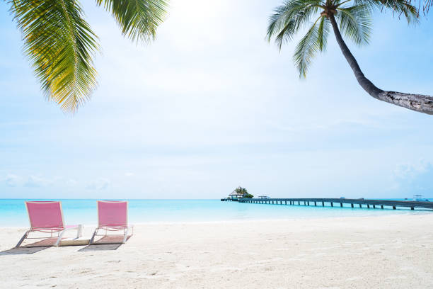 istock Tropical paradise beach with lounge chairs 1356315561