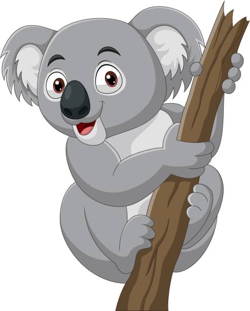 мультяшная коала на ветке дерева - eucalyptus tree tree australia tropical rainforest stock illustrations