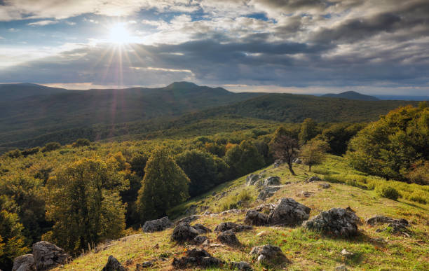 Carpathian green mountain with sun