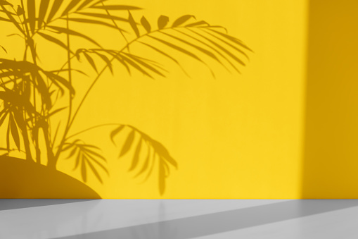 Premium podium with a shadow of tropical palm leaves on a yellow-gray background. Showcase, display case.