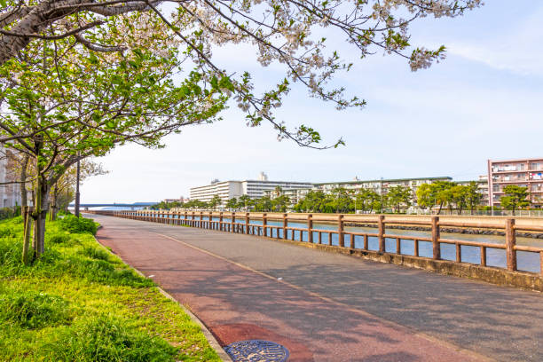 istock Fukuoka townscape at spring, Kyushu, Japan. 1356326724